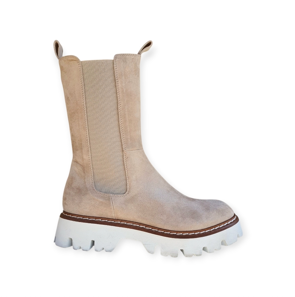 6538 Camoscia semola